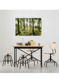Leinwandbild Komar "D&auml;nische Buchen - Gr&ouml;&szlig;e 90 x 60 cm", bunt (farbe bild(er): gr&uuml;n, braun, gelb), B:90cm H:60cm T:2cm, Holz, Papier, Bilder, Leinwandbild, Keilrahmenbild mi Echtholzrahmen