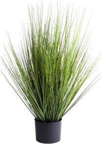 Kunstgras BOTANIC-HAUS "Grasarrangement King Festuca", gr&uuml;n, B:50cm H:74cm T:50cm &Oslash;:50cm, Kunststoff, Kunstpflanzen, Kunstgras