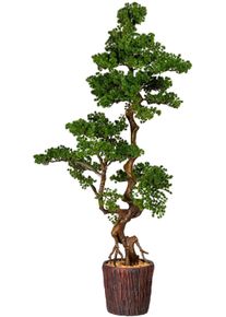 Kunstbonsai OTTO HOME "Perreux", gr&uuml;n, B:67cm H:155cm, Kunststoff, Kunstpflanzen, Kunstbonsai, im Magnesiatopf