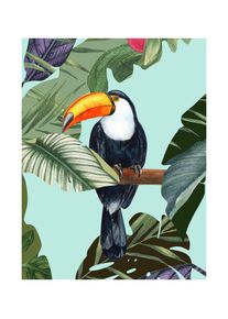 Bild Komar "Toco Toucan", bunt (farbe bild(er): bunt), B:40cm H:50cm, Holz, Papier, Bilder, Bild, Wandbild zur Dekoration - ohne Rahmen