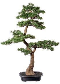Kunstbonsai Creativ green "Bonsai Zeder", gr&uuml;n, B:60cm H:100cm T:35cm, Kunststoff, Kunstpflanzen, Kunstbonsai