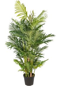 Kunstpalme Creativ green "Arecapalme", gr&uuml;n, H:170cm, Kunststoff, Kunstpflanzen, Kunstpalme