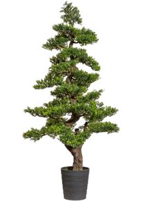 Kunstbonsai Creativ green "Bonsai Teeblatt", gr&uuml;n, H:160cm &Oslash;:65cm, Kunststoff, Kunstpflanzen, Kunstbonsai