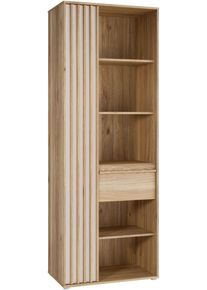 Regal FORTE "Stauraumregal, 1T/1SK, Soft Close, Vollauszug SK", braun (mauvella eiche, kashmir beige), B:73,1cm H:200,1cm T:41,7cm, Holzwerkstoff, Regale, Regal, B/H/T 73,1/200,1/41,7 cm optionale Beleuchtung