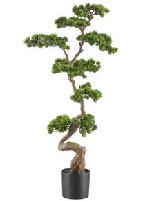 Kunstbonsai Creativ green "Bonsai Kiefer", gr&uuml;n, B:50cm H:125cm, Kunststoff, Kunstpflanzen, Kunstbonsai, mit elegantem Stamm