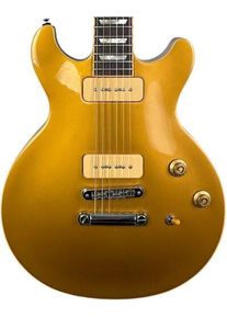 Gibson Les Paul Standard DC 2009 - Goldtop