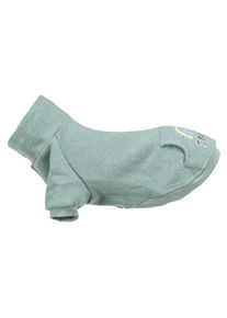 Trixie Pullover Littleton XS, 30 cm, Mint (XS, Hundepullover), Hundebekleidung