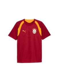 Fu&szlig;balltrikot Puma "GSK TRAINING JERSEY", Herren, Gr. XL, rot (schwarz cherry, summer sunset), Web, Obermaterial: 100% Polyester, unifarben, slim fit normal, Rundhals, Trikots Fu&szlig;balltrikot