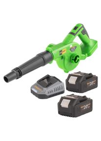 Procraft, Laubsauger + Laubbl&auml;ser, PB22bb Akku Laubbl&auml;ser 20 V + 2x Akku 4,0 Ah + Ladeger&auml;t (Akkubetrieb, Laubbl&auml;ser)