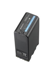 Sony BP-U100 U100 Battery Pack (Kamera Akku), Kamera Stromversorgung, Schwarz