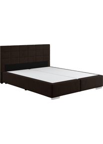 Boxspringbett COTTA "Simba in verschiedenen Farben und Breiten erh&auml;ltlich, ohne Matratze", braun, Komplettbetten, Struktur fein Polyester ohne Matratze, Liegefl&auml;che B/L: 160cm x 200cm Betth&ouml;he: 55cm, kein H&auml;rtegrad, ohne Matratze, Boxspringbett, Bezugsstoff: Struktur fein, L:209cm