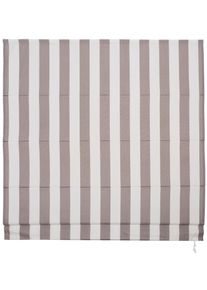 Raffrollo LIEDECO Gr. 1, braun (hellbraun, wei&szlig;), B:60cm H:190cm, Obermaterial: 100% Polyester, Raffrollos, Raffrollo