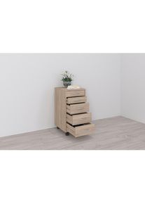 FMD Rollcontainer &raquo;Freddy&laquo; B&uuml;roaufbwahrung mit 5 Schubk&auml;sten auf Rollen, 63 cm hoch