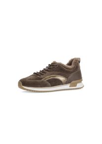 Sneaker Gabor, Damen, Gr. 40,5, schwarz-wei&szlig; (braun, bronze), Glattleder, Textil, Veloursleder, Schuhe Sneaker, Keilabsatz, Schn&uuml;rschuh mit Fellimitat am Schaftrand, G-Weite