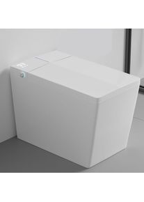 Square Smart Toilet with Tank Built-in,Square With Auto lush, Rectagnle Heated Bidet & Drying, Night Light Convenient or Seni, L