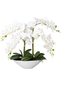 Kunstorchidee Creativ green "Deko-Orchidee Phalaenopsis in Keramikschale", wei&szlig;, B:35cm H:53cm T:15cm, Obermaterial: 95% Polyethylen, 5% Polyester, Kunstpflanzen, Kunstorchidee