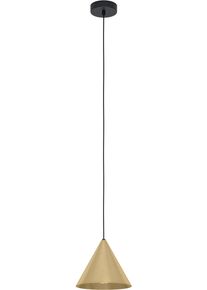 Eglo H&auml;ngeleuchte "NARICES", schwarz, &Oslash; 22cm H: 110cm, 1 Stk., Leuchten, H&auml;ngeleuchte in schwarz aus Stahl - exkl. E27 - 40W, H&auml;ngeleuchte
