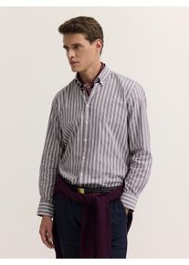 Langarmhemd Bugatti "Modern Fit", Herren, Gr. S, Normalgr&ouml;&szlig;en, lila (790, brombeere), 100% Baumwolle, unifarben, normal, Hemden Langarmhemd, Modern Fit Poplin Button-Down-Kragen
