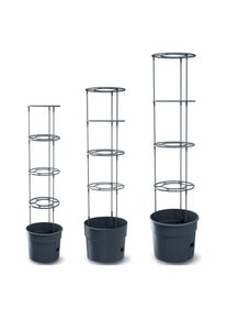 Prosperplast, Komposter + Gartensack, Doniczka Do Sadzenia Pomidor&oacute;w Z Drabinką Pojemność 18l (18 l)