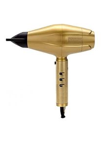 BaByliss Pro, F&ouml;hn, GoldFX FXBDG1E (2200 W)
