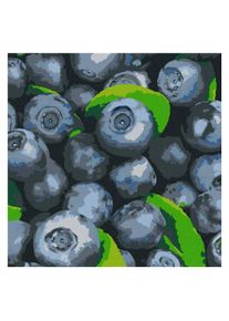 Ideyka Malen nach Zahlen - Saftige Blaubeere