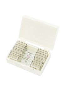 BRESSER, Mikroskop Zubeh&ouml;r, Optik Dauerpr&auml;parate Profi 10er 5984500 Mikroskop-Objekttr&auml;ger