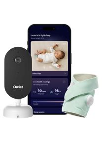 Owlet, Babyphone, Dream Duo 3 (Babyphone mit Kamera, 9 m)