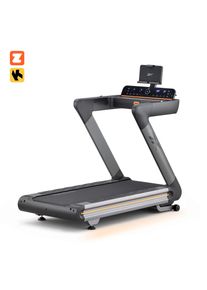 Laufband Reebok "Reebok Z-Tech", grau (metallic grau), Laufb&auml;nder, ohne Unterlegmatte, Laufband, bis max. 20 km/h, mit Steigung, 150 kg max. Benutzergewicht, B:85cm H:157cm L:172cm