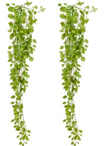 Kunstranke Creativ green "Dischidiah&auml;nger", gr&uuml;n, H:90cm, Obermaterial: 100% Kunststoff, Kunstpflanzen, Kunstranke, mit sch&ouml;nem Blattwerk