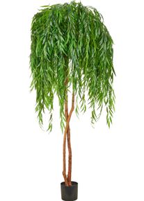 Kunstbaum Creativ green "Salix alba", gr&uuml;n, H:220cm, Obermaterial: 100% Kunststoff, Kunstpflanzen, Kunstbaum, in beeindruckender Gr&ouml;&szlig;e