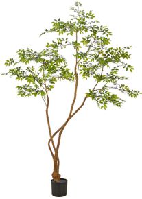 Kunstbaum Creativ green "Jaboticaba", gr&uuml;n, H:210cm, Obermaterial: 100% Kunststoff, Kunstpflanzen, Kunstbaum, in beeindruckender Gr&ouml;&szlig;e