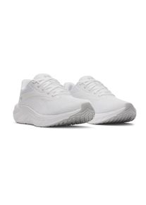 Under Armour Laufschuh &raquo;UA W ASCEND&laquo; wei&szlig;, Gr&ouml;&szlig;e 41