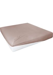 Spannbettlaken Primera "Elasthan-Feinjersey", braun (hellbraun), 1 Stk., Jersey-Elasthan, 90-100x200-220 28cm, Jersey-Elasthan, Obermaterial: 95% Baumwolle, 5% Elasthan, Bettlaken, Spannbettlaken, PREMIUM, aus 95% gek&auml;mmter Baumwolle und 5% Elasthan, bis 28 cm H&ouml;he