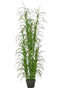Kunstgras Creativ green "Grasbusch Carex morrowii", gr&uuml;n, H:150cm, Obermaterial: 100% Kunststoff, Kunstpflanzen, Kunstgras, mit naturgetreuen Halmen