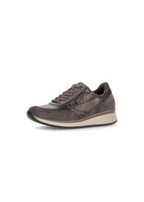 Keilsneaker Gabor, Damen, Gr. 36, Leder Textil, braun (taupe), Glattleder, Textil, Veloursleder, Reptilienpr&auml;gung, Schuhe Keilsneaker, Schn&uuml;rer mit Reptilienpr&auml;gung in Komfortweite K (=extraweit)
