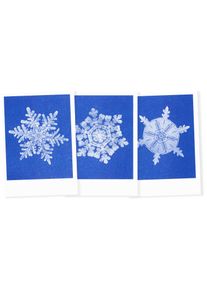 Herr & Frau Rio Postkarten-Set Riso Winter Schneeflocke