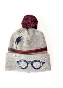 M&uuml;tze, Harry Potter Beanie, Mehrfarbig