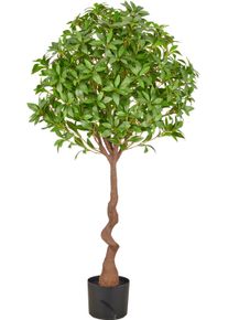 Kunstbaum Creativ green "Pieris", gr&uuml;n, H:125cm, Obermaterial: 100% Kunststoff, Kunstpflanzen, Kunstbaum, als Hochstamm