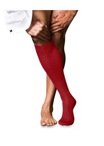 Kniestr&uuml;mpfe Falke "No. 10 Pure Fil d'&Eacute;cosse", Herren, Gr. 41-42, rot (cardinal (8156)), Obermaterial: 93% Baumwolle CO. 7% Polyamid PA., Socken Kniestr&uuml;mpfe