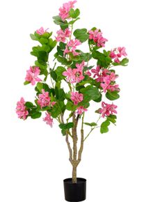 Kunstbaum Creativ green "Bauhinia", pink, H:125cm, Obermaterial: 75% Polyester, 25% Kunststoff, Kunstpflanzen, Kunstbaum, mit traumhaft sch&ouml;nen Bl&uuml;ten