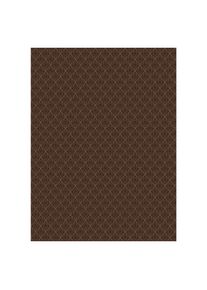 Westcott 5 x 7 Terracotta Modern Vintage X-Drop Backdrop (1.5 x 2.1 m (150 cm, 210 cm), Hintergrundsystem, Braun