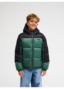 Steppjacke Quiksilver "COLD DAYS YOUTH JACKET", Jungen, Gr. 12, gr&uuml;n (forest), Obermaterial: 100% Nylon. Futter: 100% Polyester. Wattierung: 100% Polyester, Jacken Steppjacke, mit typischer Steppung, aus Nylon