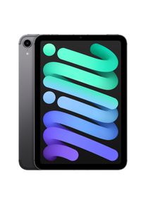 Apple iPad mini 2021 (5G, 8.30", 256 GB, Space Grey), Tablet, Grau