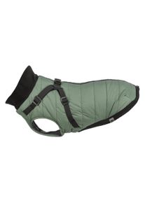 Trixie Pontis coat with harness, XS: 30 cm, sage (XS, Hundemantel), Hundebekleidung