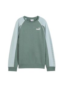 Puma Kinderen Sportstijl Relaxed Fit Raglan Lange Mouwen Sweatshirt (Groen/Maan)