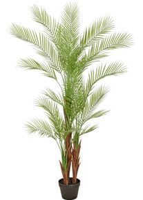 Kunstpalme Creativ green "Arecapalme", gr&uuml;n, H:150cm, Obermaterial: 100% Kunststoff, Kunstpflanzen, Kunstpalme, mit naturgetreuen Palmwedeln