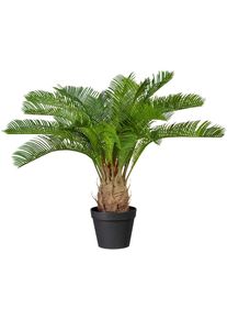 Kunstpalme Creativ green "Cycaspalme", gr&uuml;n, B:80cm H:60cm, Kunststoff, Kunstpflanzen, Kunstpalme