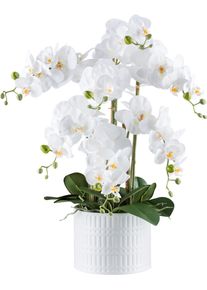 Kunstorchidee Creativ green "Orchidee Phalaenopsis", wei&szlig;, H:60cm, Kunststoff, Kunstpflanzen, Kunstorchidee, mit real-touch-Bl&uuml;ten