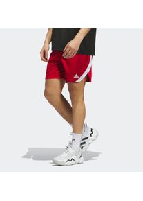 Trainingsshorts adidas Performance "ICON SQUAD", Herren, Gr. M, N-Gr, wei&szlig; (team power rot, wei&szlig;, wei&szlig;, normal, gr.), Obermaterial: 100% Polyester, clean, Hosen Trainingsshorts