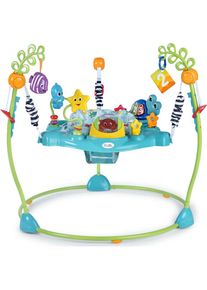 Baby Einstein, Spielcenter &raquo;Curiosity Cove&laquo; mit &uuml;ber 15 Melodien und Lichtern, bunt,